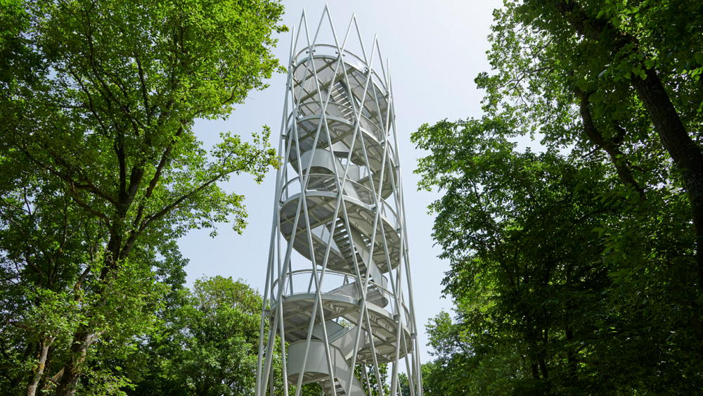 A view of the Hardtbergturm, looking through the trees from below.