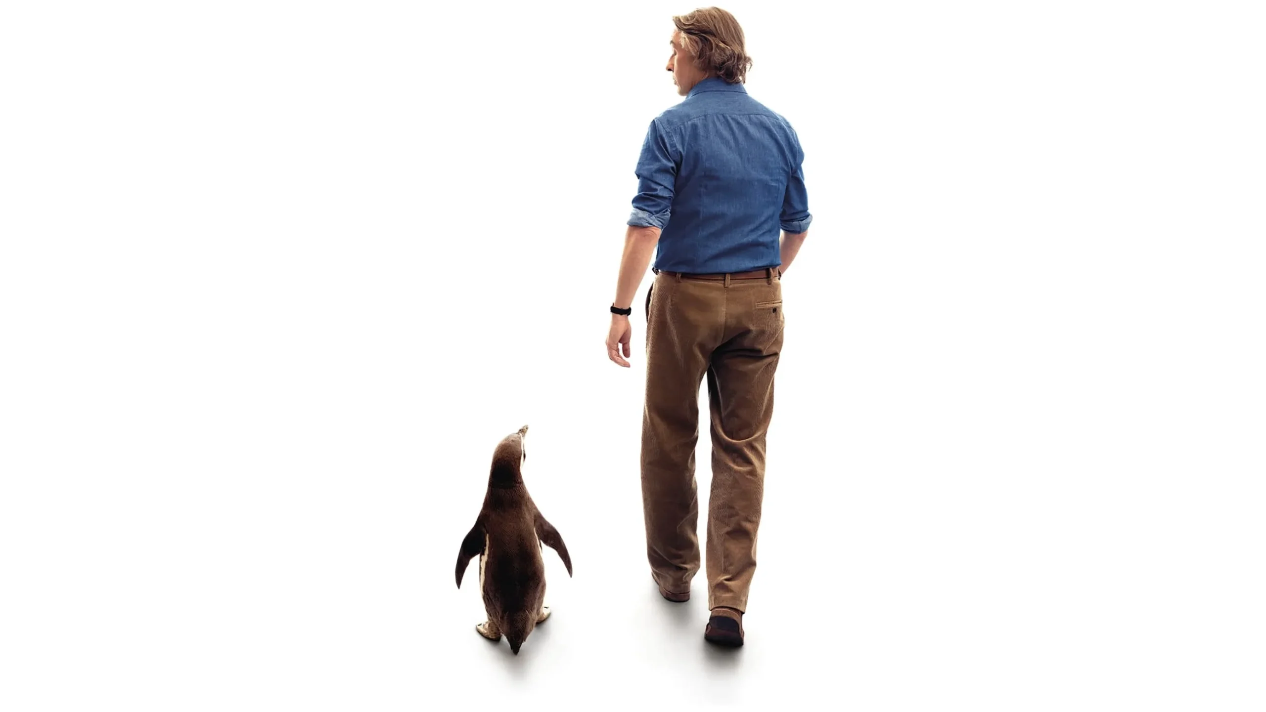 A penguin and a man in front of a white backdrop, walking into the distance