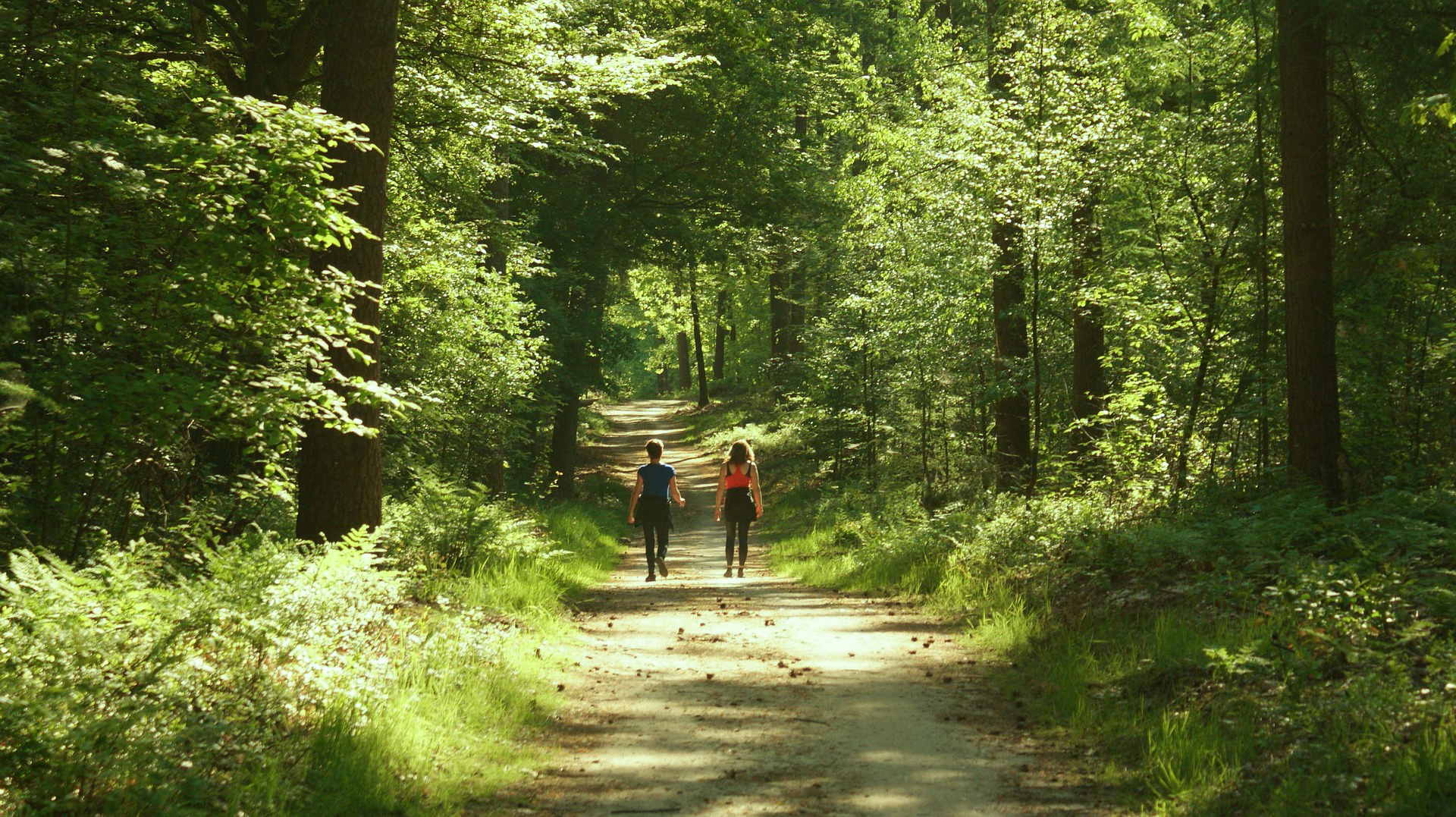 Two women walking in a lush green forest